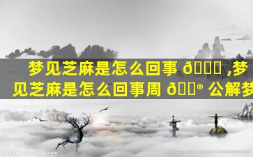 梦见芝麻是怎么回事 🍀 ,梦见芝麻是怎么回事周 💮 公解梦